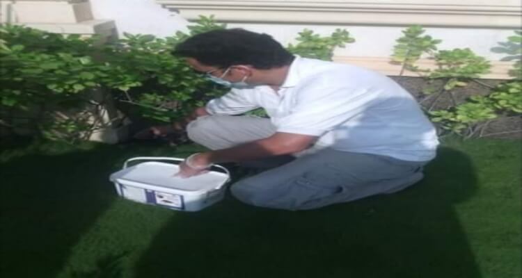 طريقة عمل عجينة الصراصير بالبيت